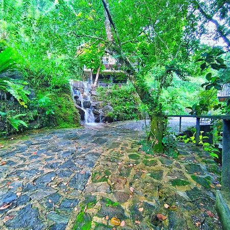 Forest Shade Eco Resort Deraniyagala Bagian luar foto