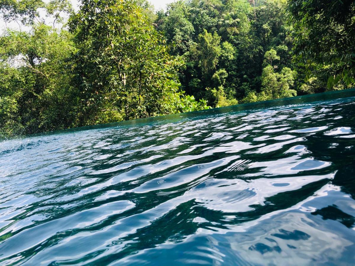 Forest Shade Eco Resort Deraniyagala Bagian luar foto
