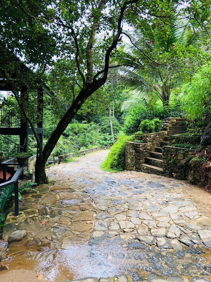 Forest Shade Eco Resort Deraniyagala Bagian luar foto