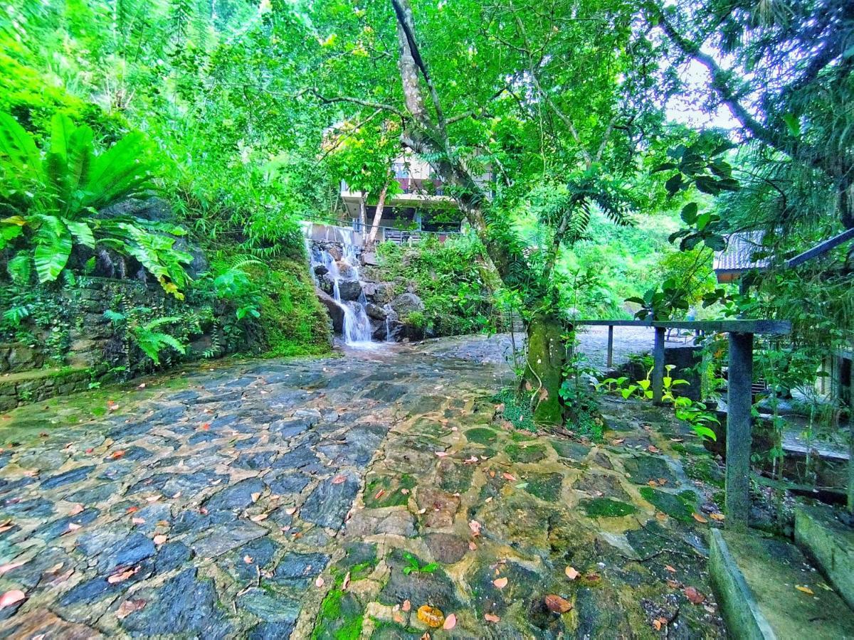 Forest Shade Eco Resort Deraniyagala Bagian luar foto