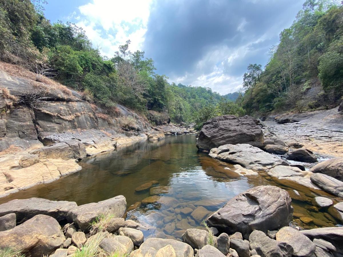 Forest Shade Eco Resort Deraniyagala Bagian luar foto