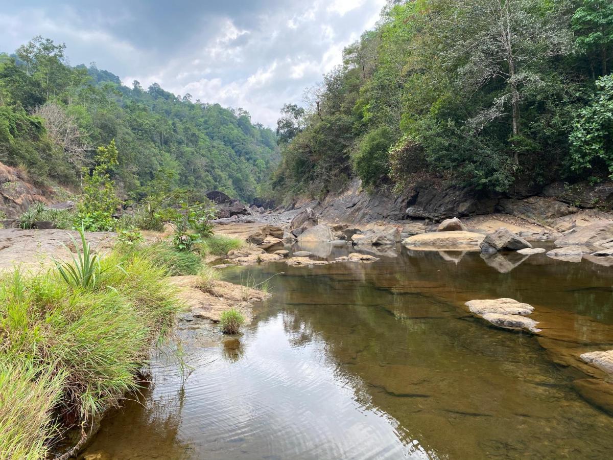 Forest Shade Eco Resort Deraniyagala Bagian luar foto