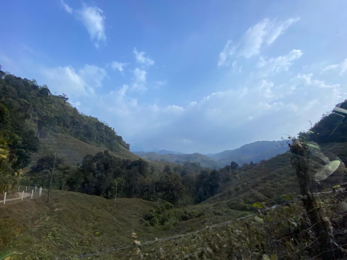 Forest Shade Eco Resort Deraniyagala Bagian luar foto